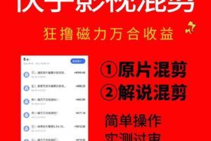快手影视混剪项目，狂撸磁力万合收益，简单操作，实测过审，有一键拍同框，单日收益500+-麦资源网