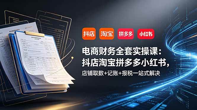 图片[1]-（19001期）电商财务全套实操课：抖店淘宝拼多多小红书，店铺取数+记账+报税一站式解决