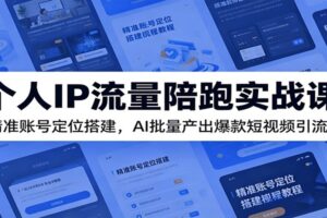 个人IP流量陪跑实战课：精准账号定位搭建，AI批量产出爆款短视频引流-麦资源网