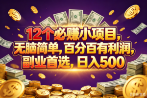 (18976期)12个必赚的小项目,百分百赚元子,无脑简单,副业首选,日入500+-麦资源网