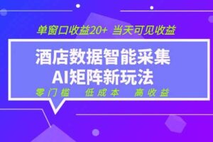 （19041期）2026酒店数据采集ai智能矩阵新风口  低成本   高收益   当天见收益   单窗口20+-麦资源网
