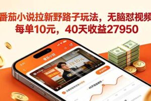 (18751期)番茄小说拉新野路子玩法,无脑怼视频,每单10元,40天收益27950-麦资源网