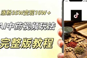 用ai做中药视频，涨粉35.8W，分成计划+橱窗累计变现10W+-麦资源网