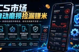 (18914期)CS市场自动磨损捡漏系统,无需电脑挂机,手机轻松赚米,日入300+-麦资源网