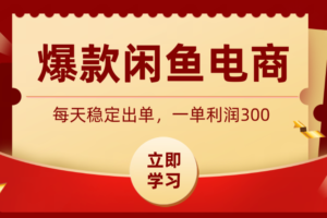 爆款闲鱼电商，卖法简单粗暴，长期稳定可做，一单利润300-麦资源网