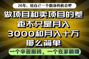 做项目和卖项目不只是月入3K和10W那么简单，一个努力搬砖，一个在家躺賺【揭秘】-麦资源网