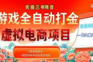 (18692期)实操三年的游戏全自动打金加虚拟电商项目,日入1000+,长久稳定!-麦资源网
