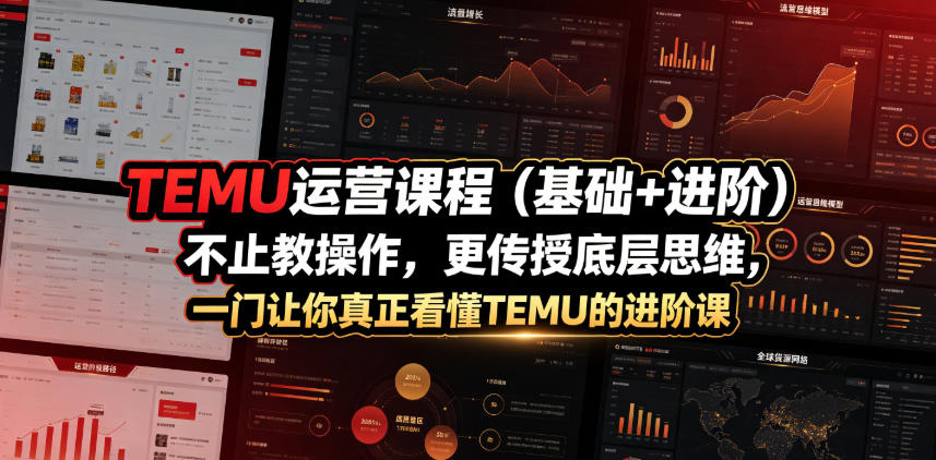 TEMU运营课程（基础+进阶），不止教操作，更传授底层思维，一门让你*看懂TEMU的进阶课