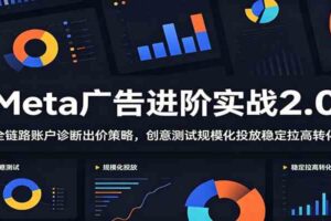 Meta广告进阶实战2.0：全链路账户诊断出价策略，创意测试规模化投放稳定拉高转化-麦资源网