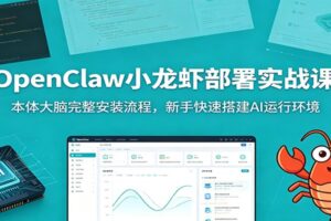 OpenClaw小龙虾部署实战课：本体大脑完整安装流程，新手快速搭建AI运行环境-麦资源网