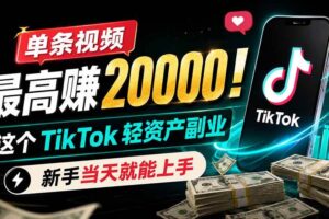 （19457期）单条视频最高赚 20000！这个 TikTok 轻资产副业，新手当天就能上手-麦资源网