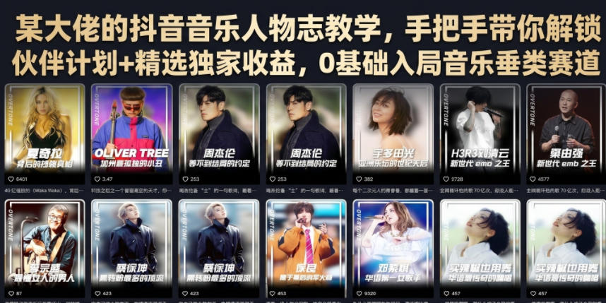 某大佬的抖音音乐人物志教学，手把手带你解锁伙伴计划+精选*收益，0基础入局音乐垂类赛道