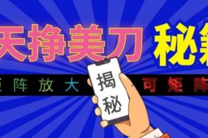 （19606期）全自动量子纠缠量化项目，每天挣几十美刀，可矩阵放大！-麦资源网