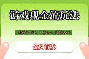 （19186期）游戏现金流玩法，个人2w+，团队10w+，自己做老板-麦资源网