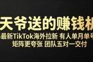 老天爷送的賺钱机会！2026最新TikTok海外拉新，有人单月单号10W+，矩阵更夸张，团队交付【揭秘】-麦资源网