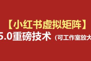 小红书虚拟矩阵5.0：AI原创虚拟品+4带1自动化AI发笔记+测款怼款双模式（可工作室放大）-麦资源网