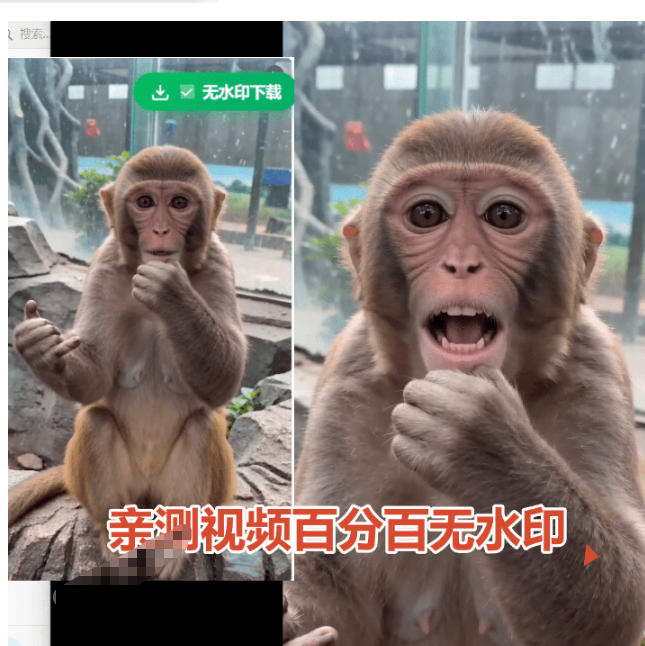 豆包无水印下载终于来了！支持豆包图片/视频，目前**的插件，浏览器拓展