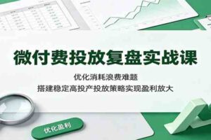微付费投放复盘实战课：优化消耗浪费难题，搭建稳定高投产投放策略实现盈利放大-麦资源网