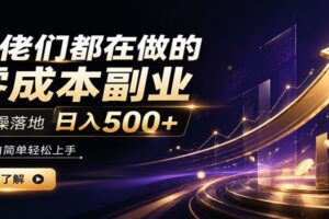 大佬们都在做的零成本副业，实操落地日入500+，小白一秒上手-麦资源网