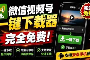 （19323期）手机端也可下载微信视频号了？完全免费使用，一键解析视频号原视频和封面 视频号下载助手v1.1-麦资源网