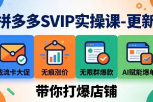 （19626期）拼多多SVIP实操课-26年7月，截流卡大促+无痕涨价+无限群爆款+AI赋能爆单新玩法，带你打爆店铺-麦资源网