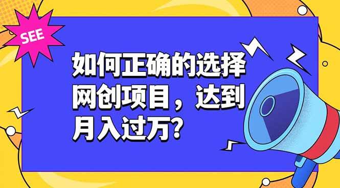 图片[1]-（19176期）如何正确的选择网创项目，达到月入过万？，本课程教你正确选择项目。