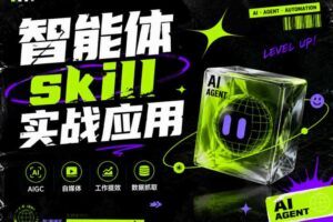 智能体skill实战应用，为寻求利用智能体进行工作提效的人打造，案例演示，纯实战课-麦资源网