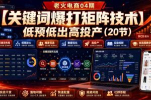 老火电商04期：【关键词爆打矩阵技术】低预低出高投产（20节）-麦资源网