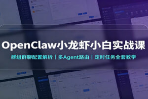 OpenClaw小龙虾小白实战课：群组群聊配置解析，多Agent路由，定时任务全套教学-麦资源网