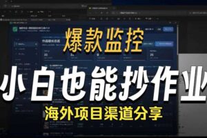 抖音爆款数据监控工具_海外网盘拉新渠道-麦资源网