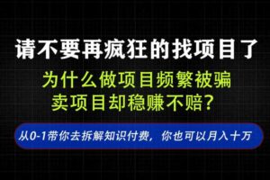 找项目？别傻了！卖项目才是真的一本万利！看完你全都懂了【揭秘】-麦资源网