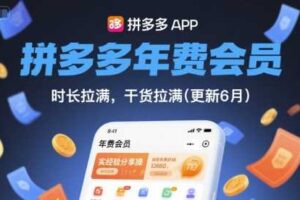 拼多多年费会员，实经验分享操，时长拉满，干货拉满(更新260821)-麦资源网