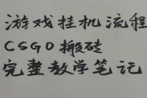 游戏挂机全流程笔记分享，CSGO游戏搬砖，小白看了当天学会见收益-麦资源网