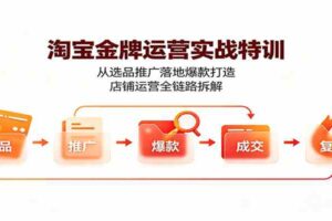 淘宝金牌运营实战特训：从选品推广落地爆款打造，店铺运营全链路拆解-麦资源网