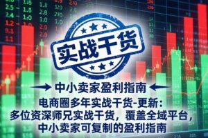 (19761期)电商圈多年实战干货-更新2026:多位资深师兄实战干货/覆盖全域平台,中小卖家可复制的盈利指南-麦资源网